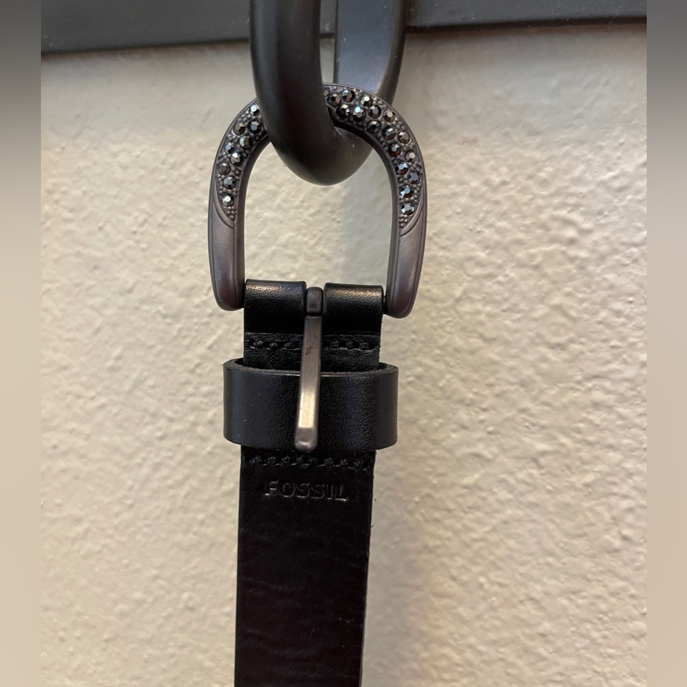 Fossil black belt